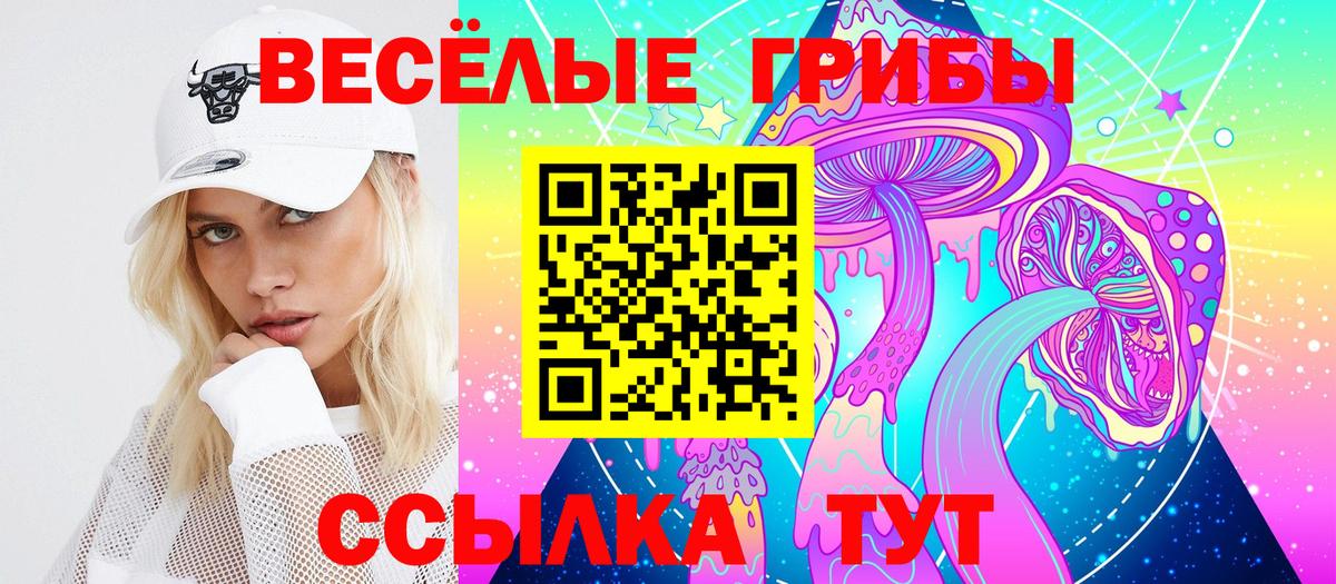 Галлюциногенные грибы мухоморы  Галлюциногенные грибы MAGIC MUSHROOMS  Вход с VPN  даркнет сайт  Моршанск 